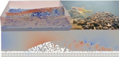 CFD simulations of flow around and inside fish nests by PhD student Huan Yang from the AIRFlowS Lab (H. Foroutan, PI).