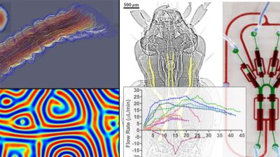 Fall Fluid Mechanics Symposium