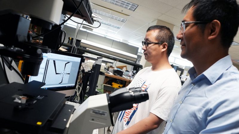 (Left to right) Postdoctoral Associate Liang Shen and Assistant Professor Zhenhua Tian use a microscope to observe the device they created to cross acoustic waves with electrical fields. Photo by Alex Parrish for Virginia Tech.