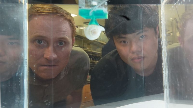 (From left) Michael Bartlett and Chanhong Lee observe an octopus-inspired sucker as it holds a shell in a tank of water. Photo by Alex Parrish for Virginia Tech.