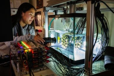 student works in histotripsy lab 